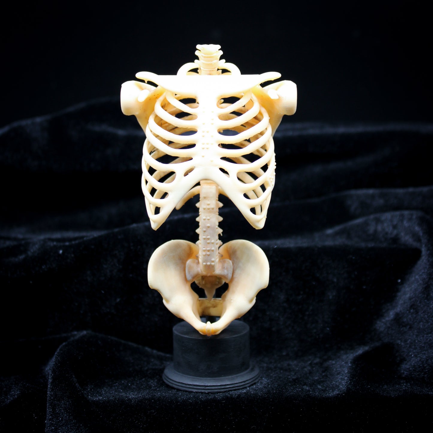 Skelly