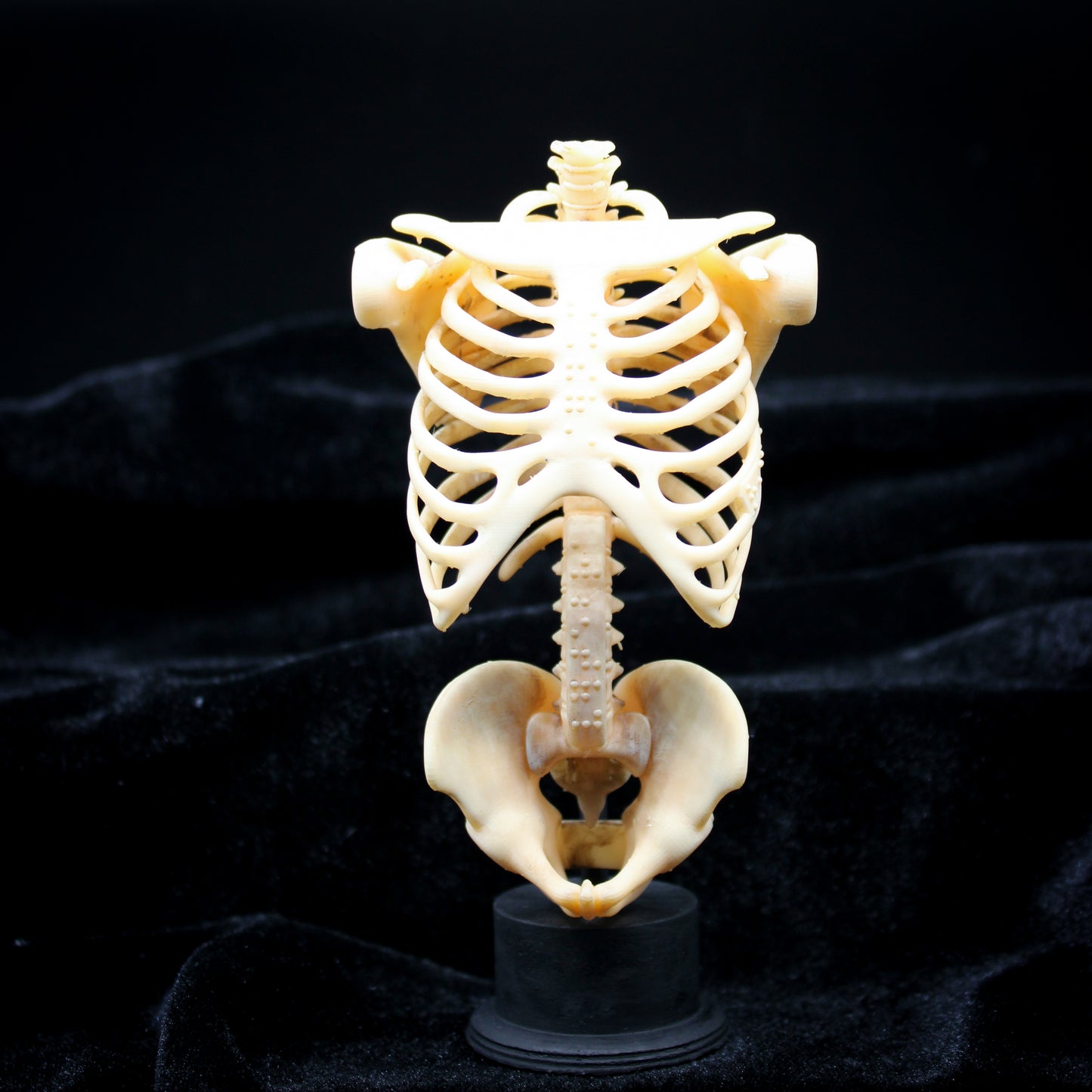 Skelly