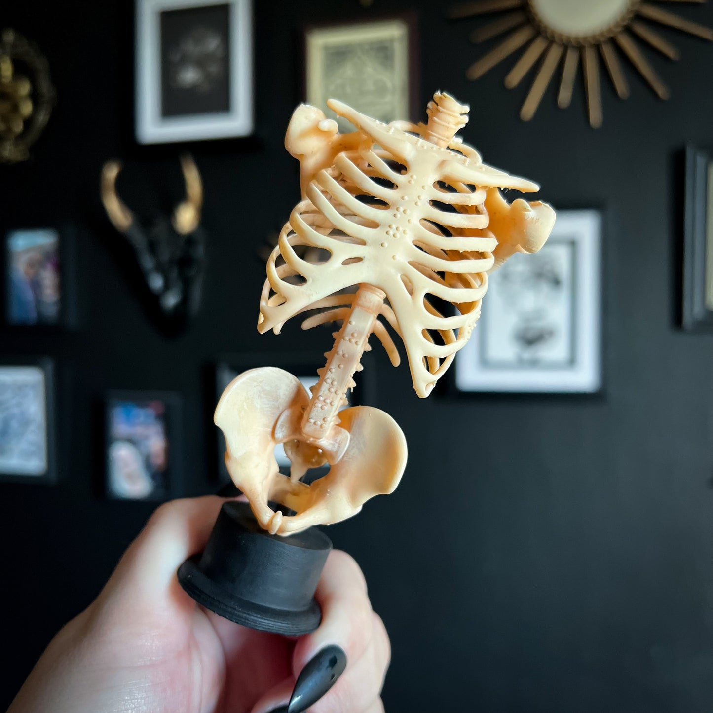 Skelly