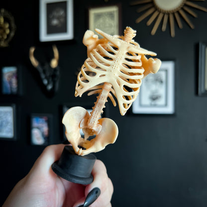 Skelly