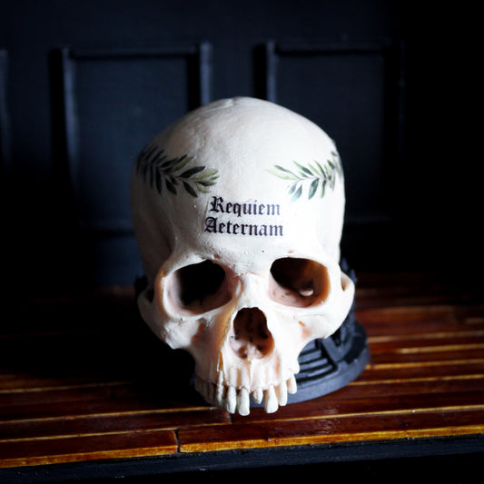 Cathedral Skull